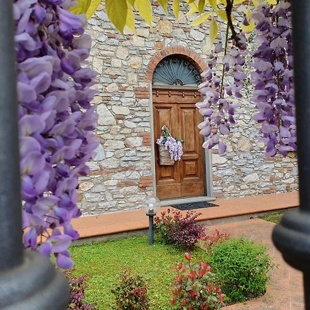 Pietra E Glicine B&B Pieve a Nievole Exteriér fotografie