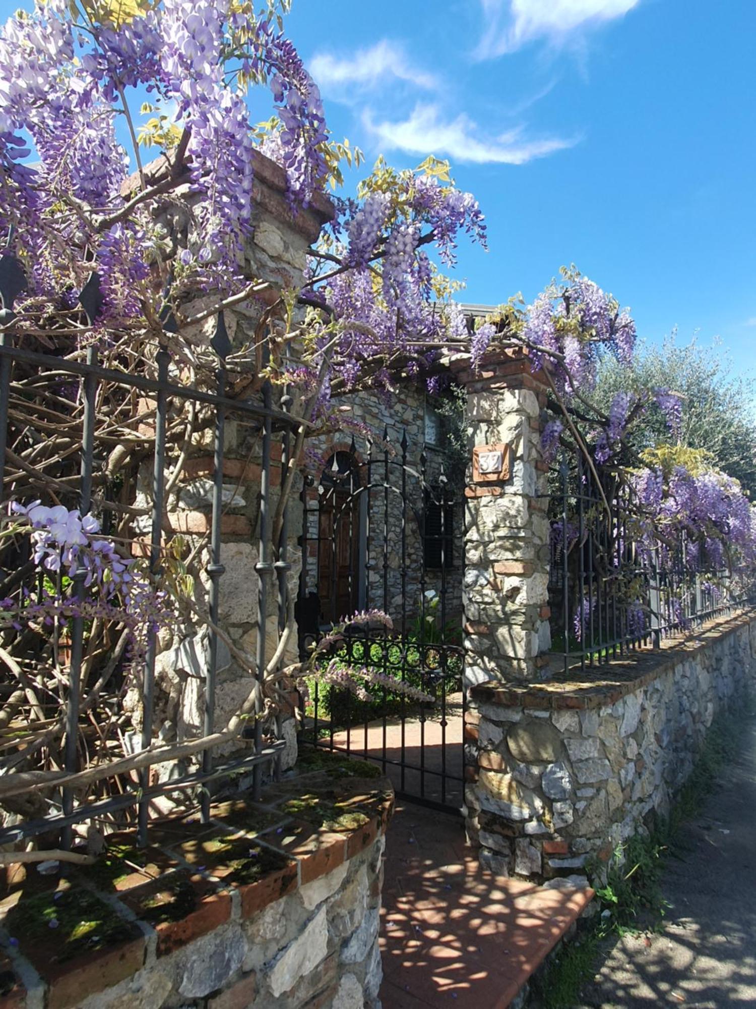 Pietra E Glicine B&B Pieve a Nievole Exteriér fotografie