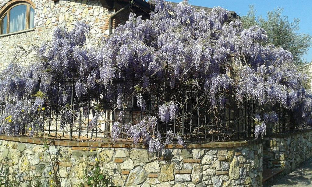 Pietra E Glicine B&B Pieve a Nievole Exteriér fotografie